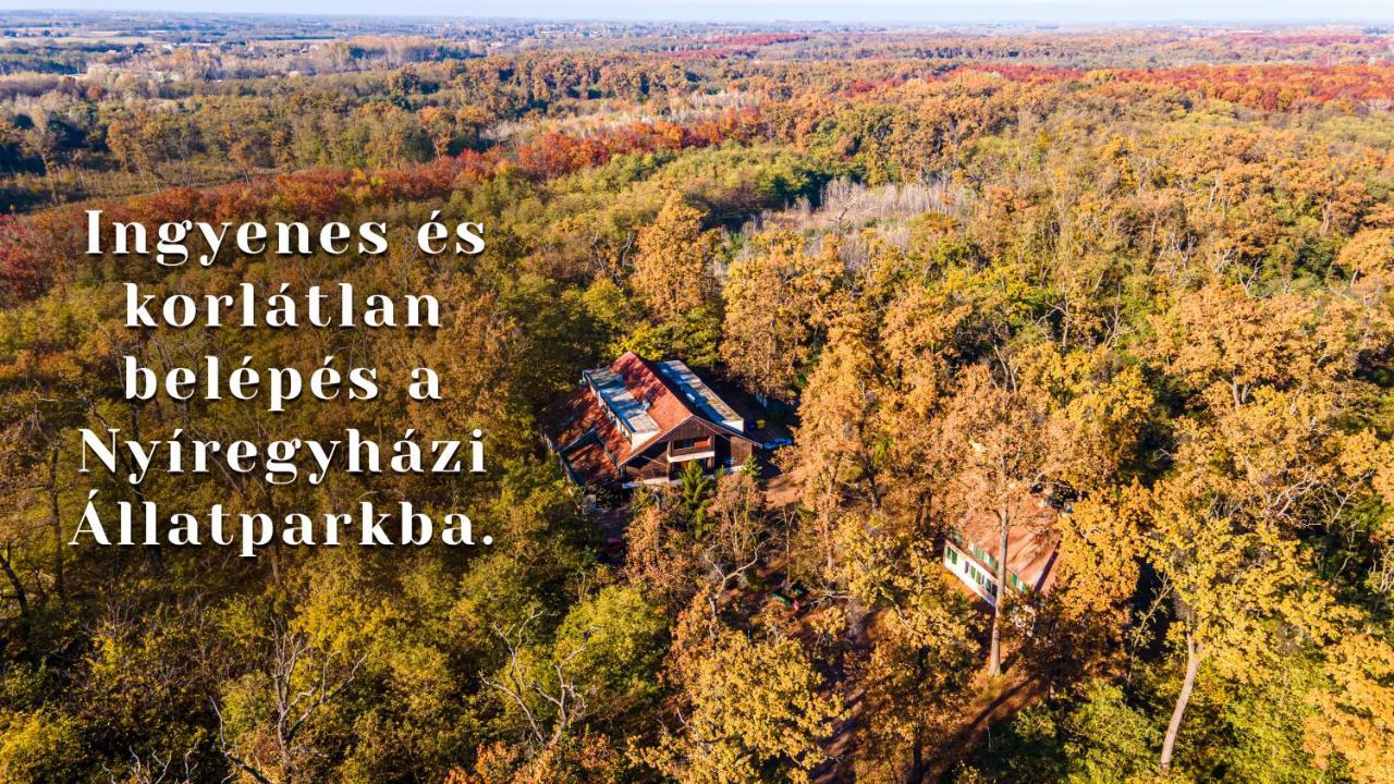 Ozoon Hotel Nyíregyháza Zewnętrze zdjęcie