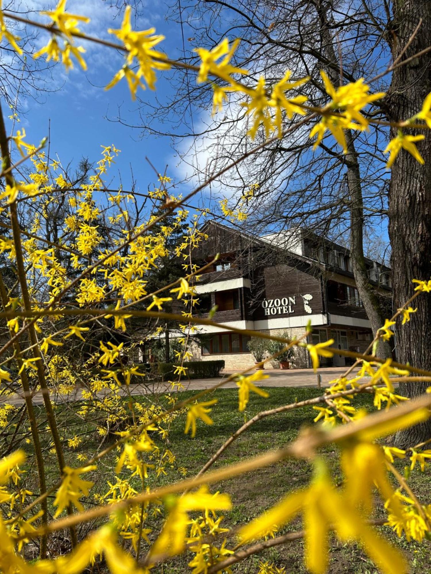 Ozoon Hotel Nyíregyháza Zewnętrze zdjęcie